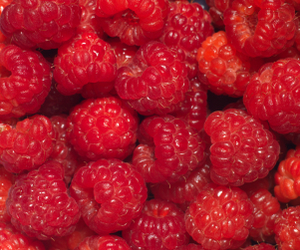 Raspberry Seed