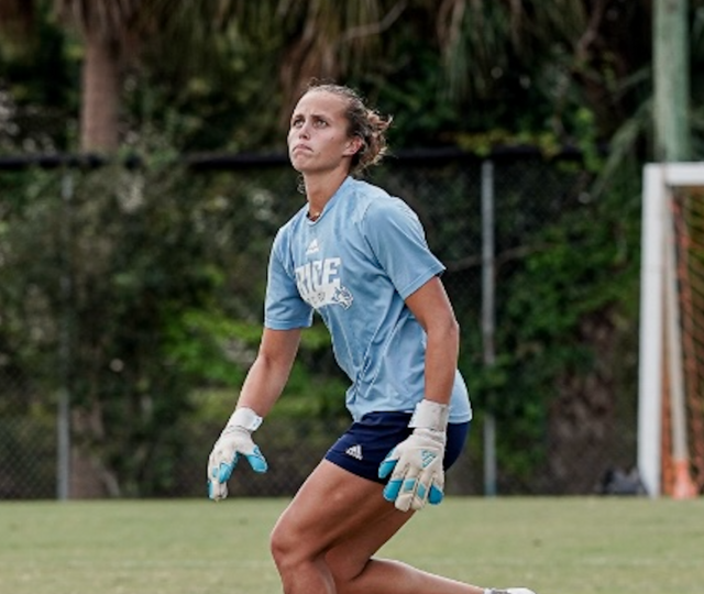 Goalkeeper: Level 1