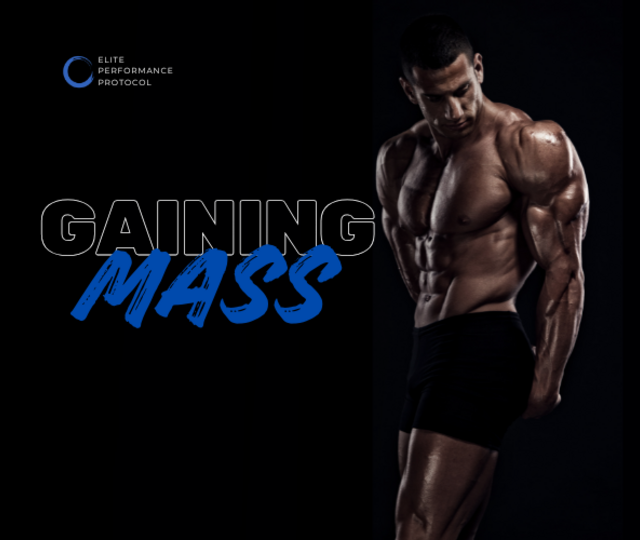 Gaining Mass! Muscle Protocol